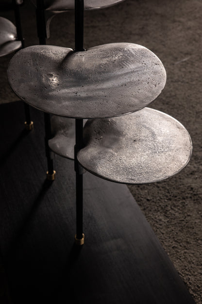Nerine Bookshelf